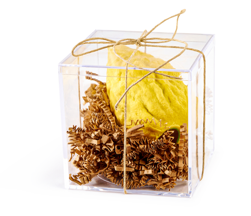 A handcrafted chocolate esrog, packaged in a transparent gift box with decorative shredded paper and tied with a rustic twine bow.