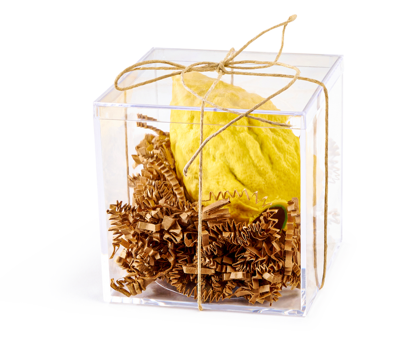 A handcrafted chocolate esrog, packaged in a transparent gift box with decorative shredded paper and tied with a rustic twine bow.
