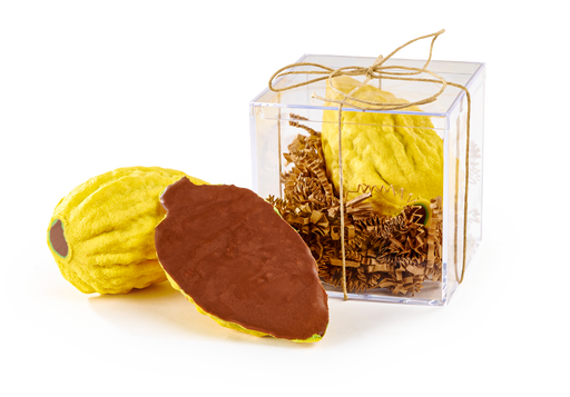 A gourmet chocolate replica of an esrog fruit, featuring a smooth chocolate exterior with a rich filling inside, presented in a gift box.